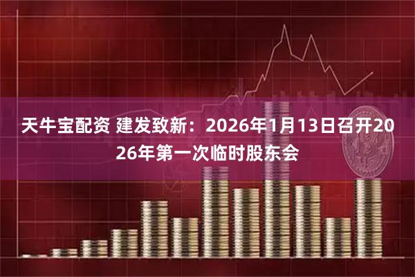天牛宝配资 建发致新：2026年1月13日召开2026年第一次临时股东会