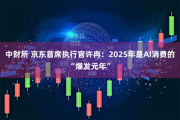 中财所 京东首席执行官许冉：2025年是AI消费的“爆发元年”