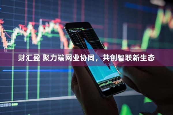 财汇盈 聚力端网业协同，共创智联新生态